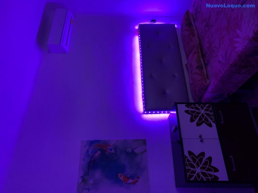 NuevoLoquo1