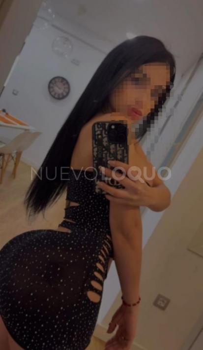 NuevoLoquo2