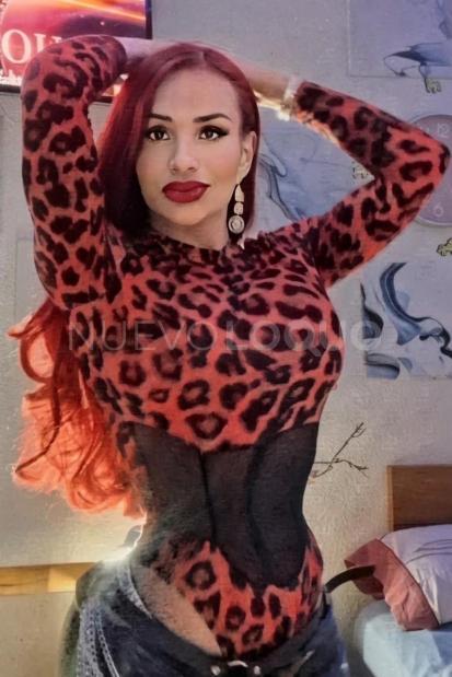  COMPAÑIA ELEGANTE Y RELAJADA
