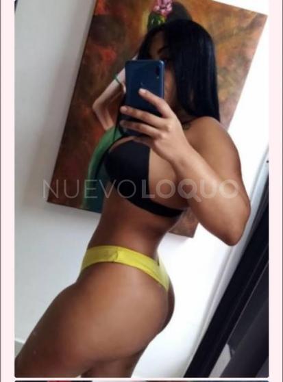 NuevoLoquo2