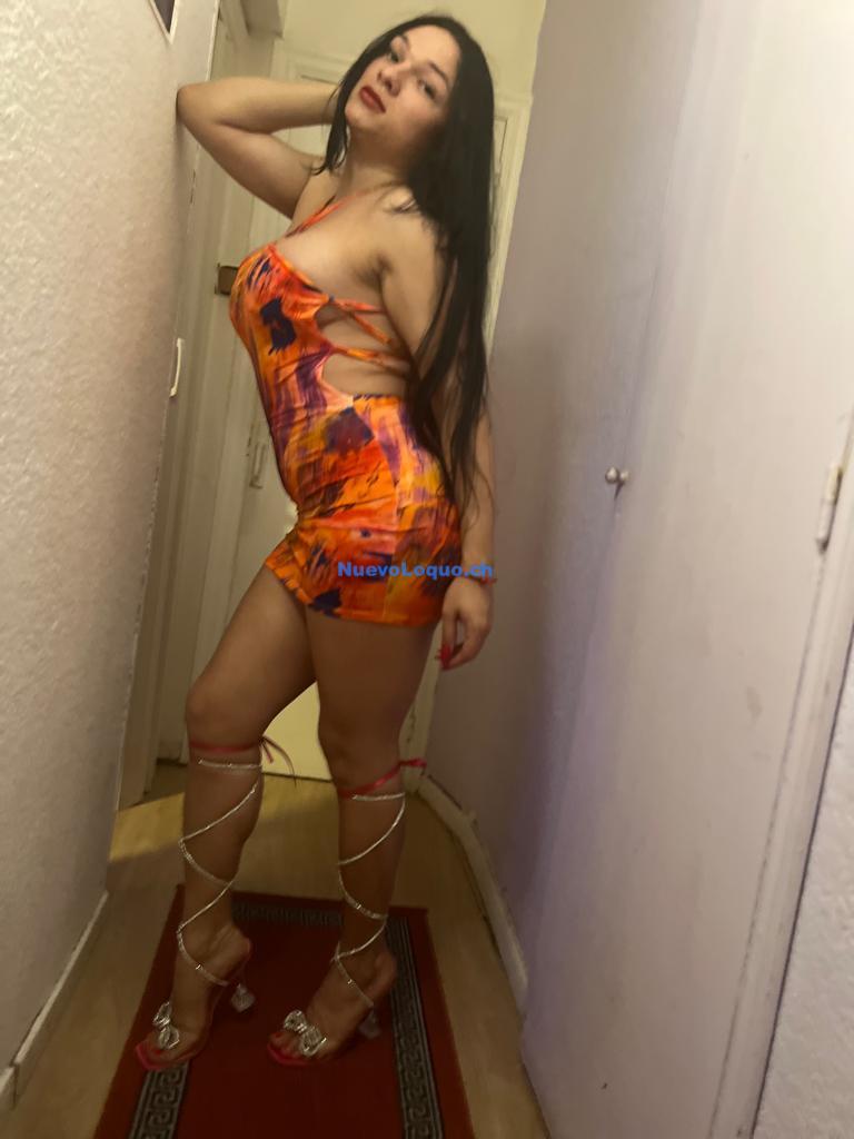NuevoLoquo2