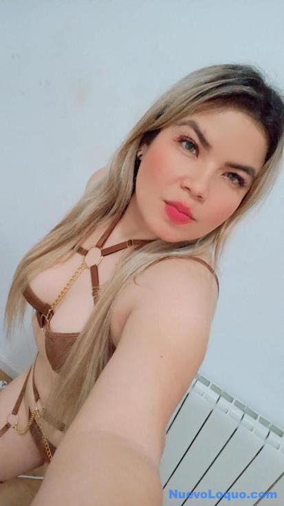 NuevoLoquo2