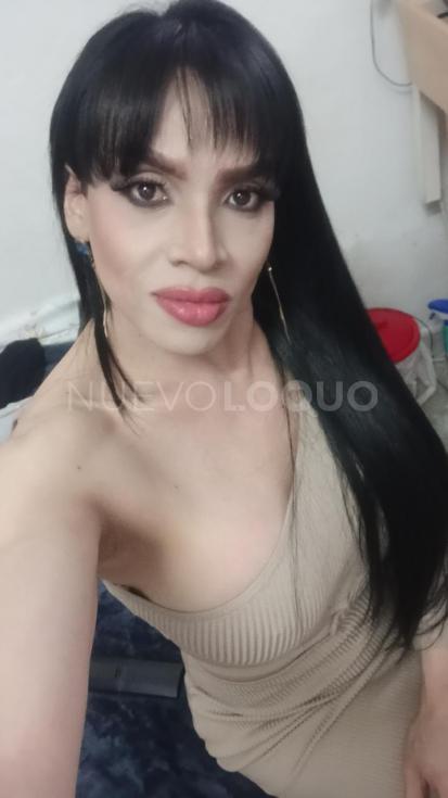 NuevoLoquo3