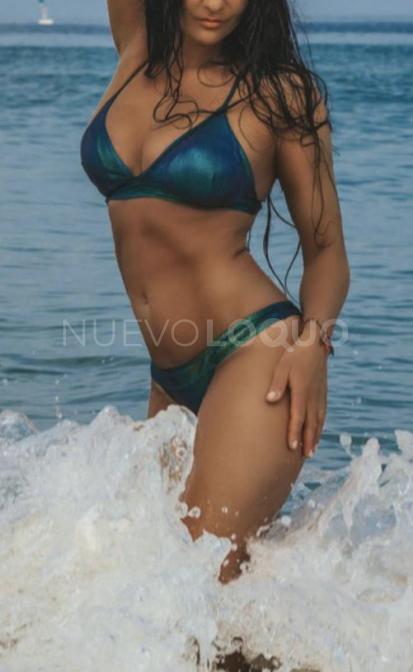 NuevoLoquo3