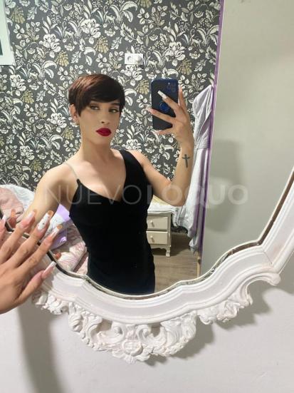NuevoLoquo1