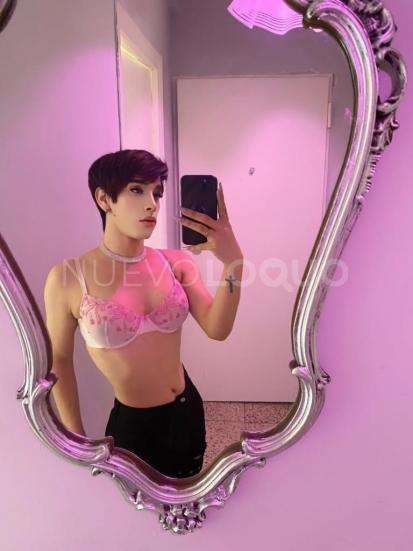 NuevoLoquo3