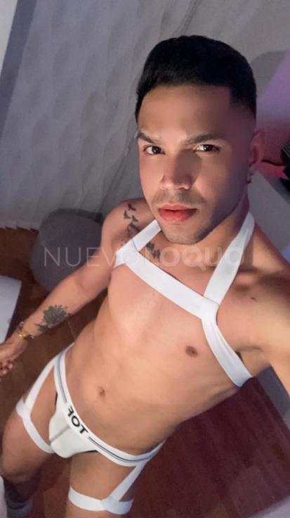 NuevoLoquo3