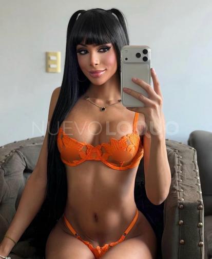 NuevoLoquo1