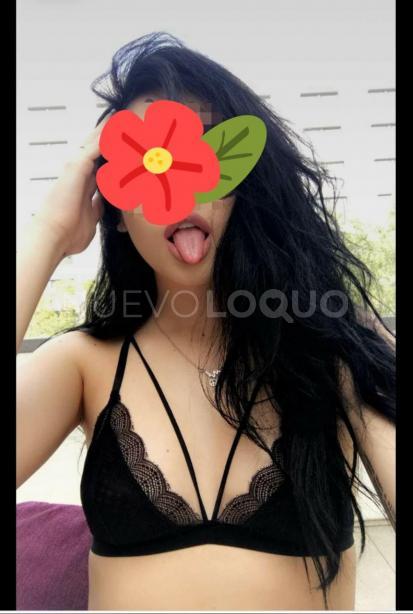 NuevoLoquo2