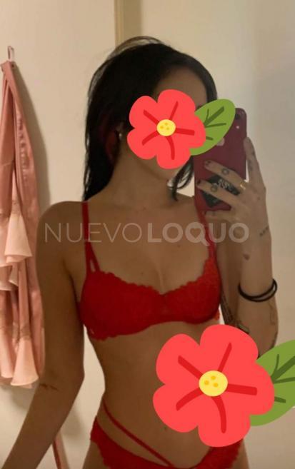 NuevoLoquo3