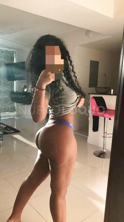 NuevoLoquo3
