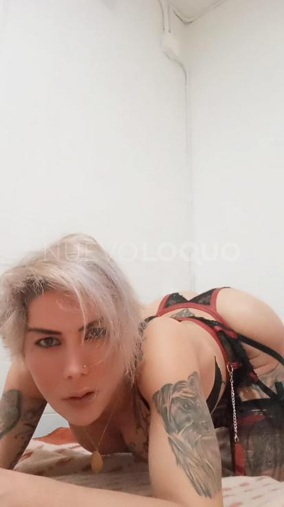 NuevoLoquo3