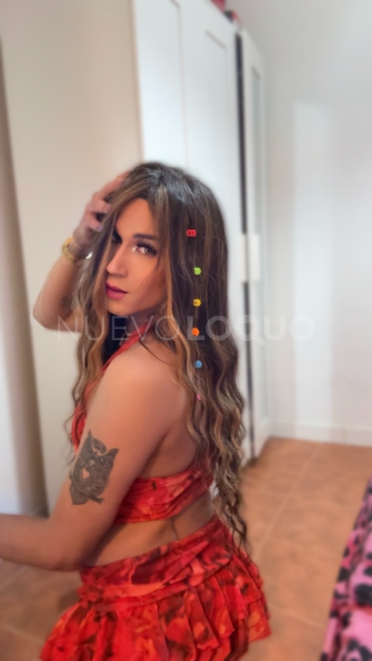 NuevoLoquo4