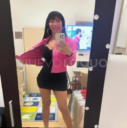 NuevoLoquo2