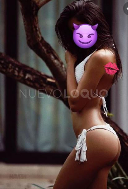 NuevoLoquo3