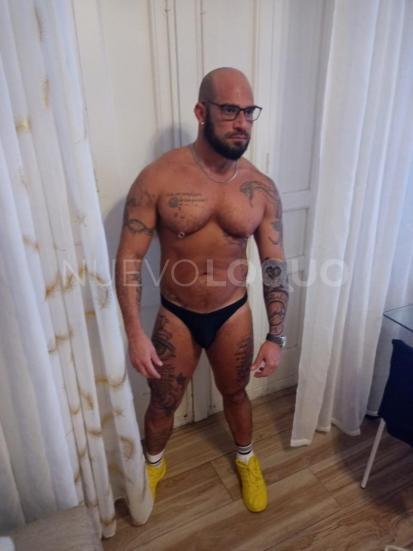 NuevoLoquo5