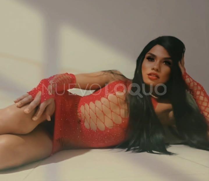 NuevoLoquo2