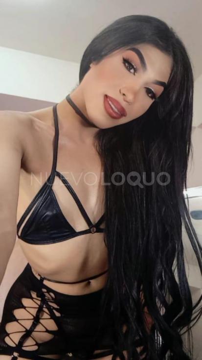 NuevoLoquo1
