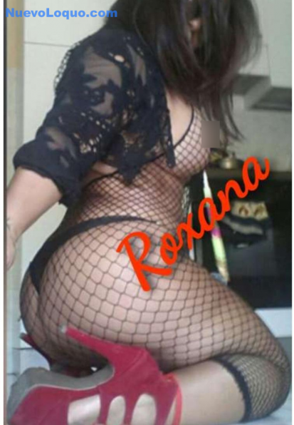 NuevoLoquo2