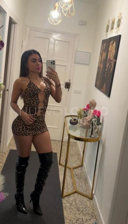NuevoLoquo2