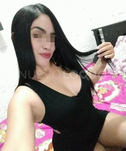 NuevoLoquo2