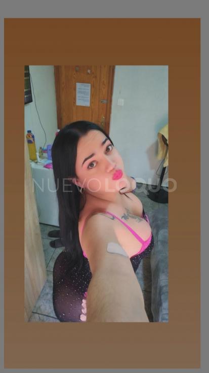 NuevoLoquo2