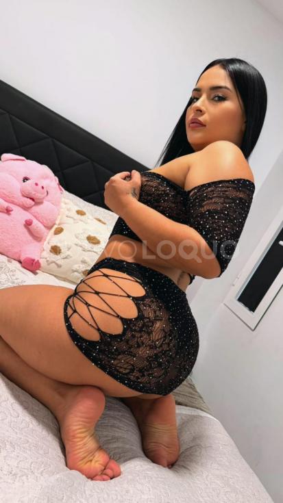 NuevoLoquo3
