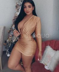 Novedad  tierna kamila