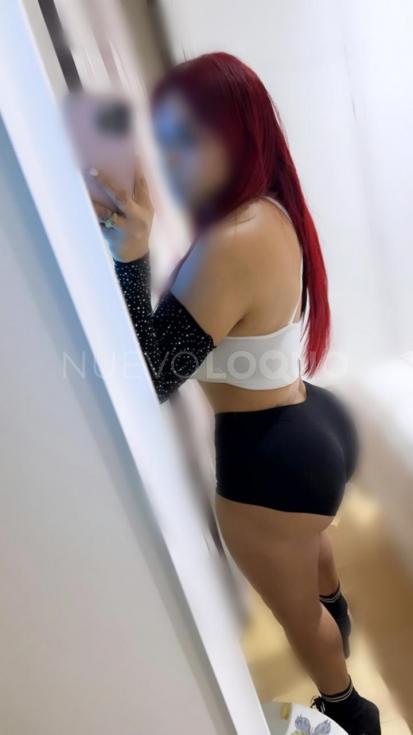 NuevoLoquo3