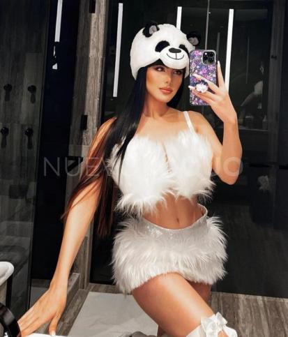 NuevoLoquo2