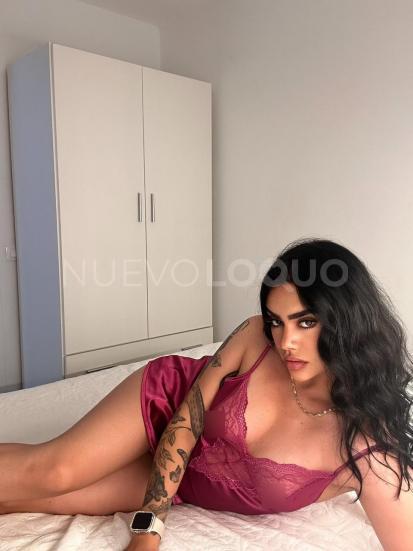 NuevoLoquo1
