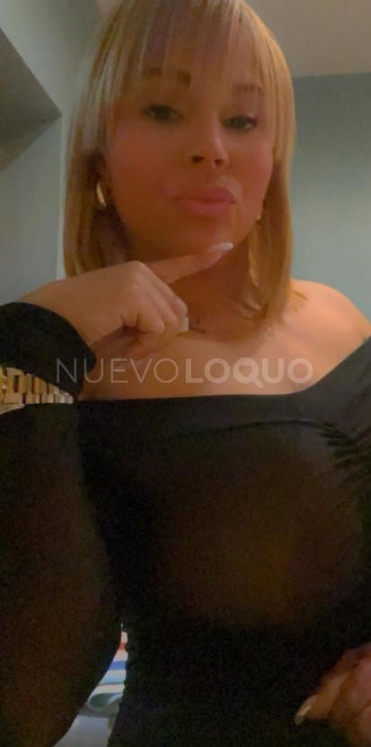 NuevoLoquo2