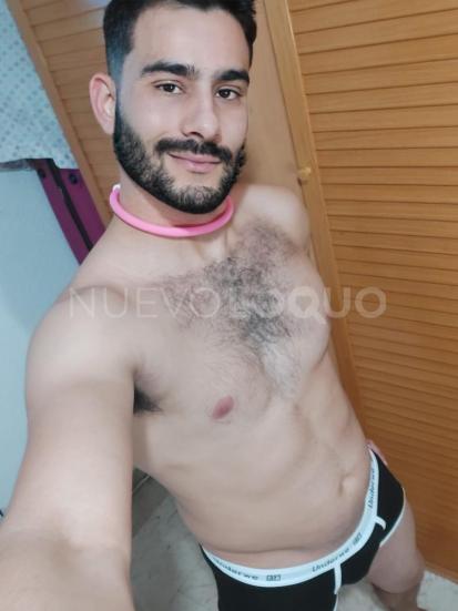 NuevoLoquo3