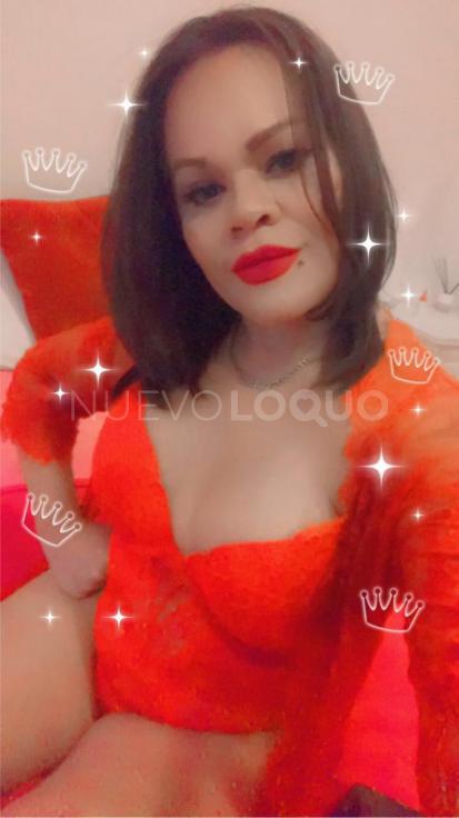 NuevoLoquo2