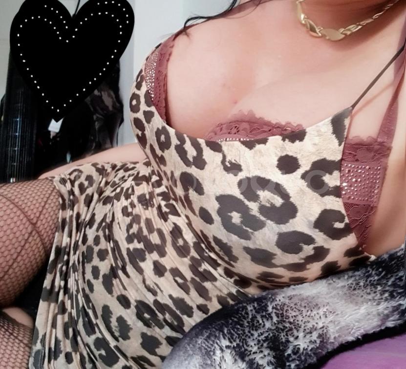 NuevoLoquo3