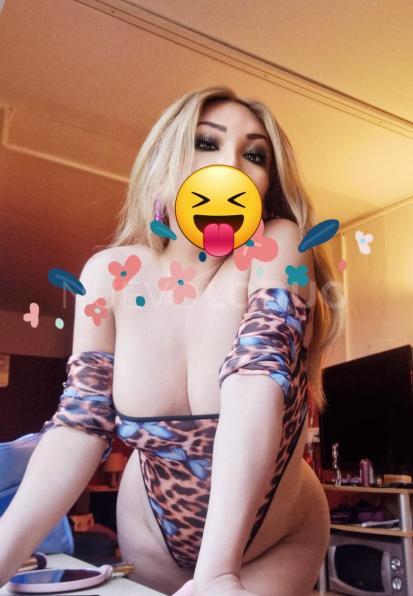 NuevoLoquo3
