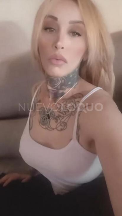 NuevoLoquo1