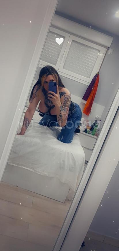 NuevoLoquo5