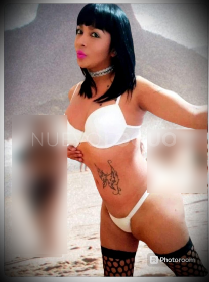 NuevoLoquo3