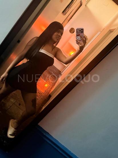 NuevoLoquo1