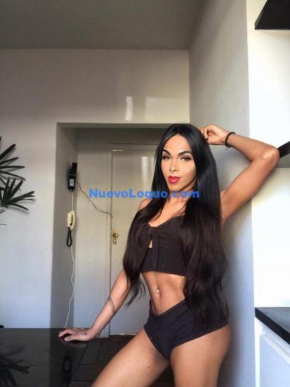 NuevoLoquo3