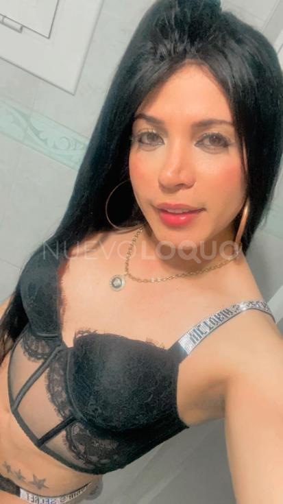 NuevoLoquo2