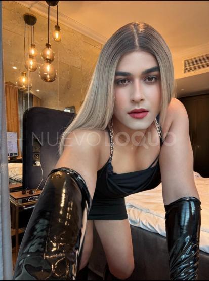 NuevoLoquo2