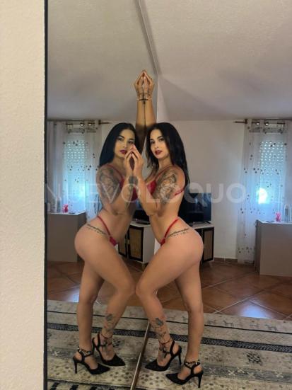 NuevoLoquo3
