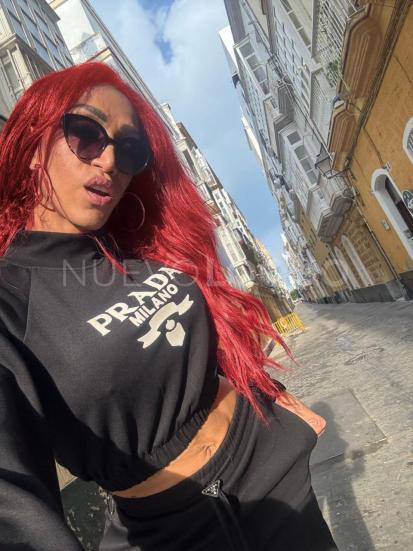 NuevoLoquo3