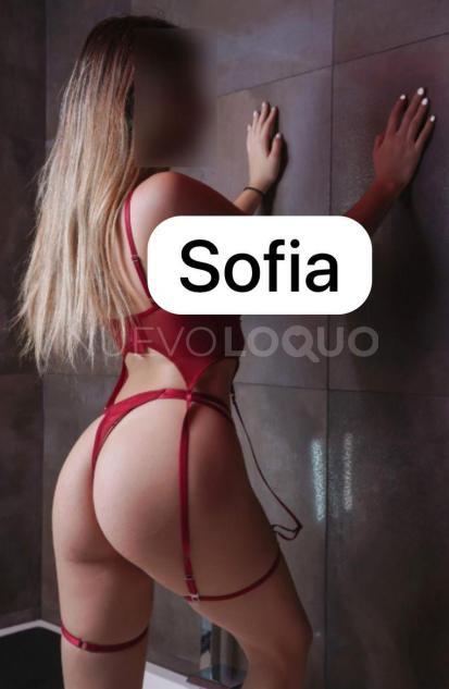 NuevoLoquo1