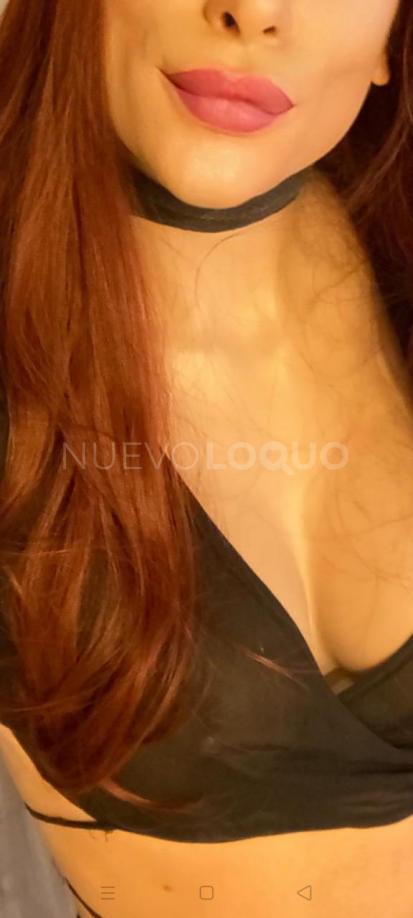 NuevoLoquo3