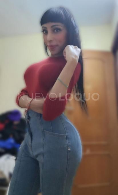 NuevoLoquo2