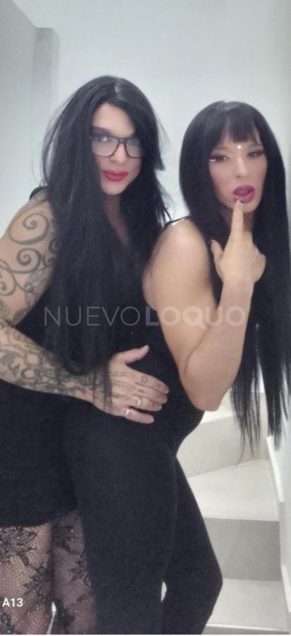 NuevoLoquo3