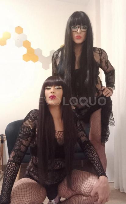NuevoLoquo4